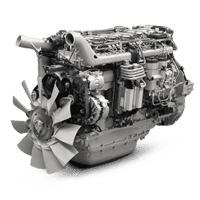 Full Vehicle Health Check