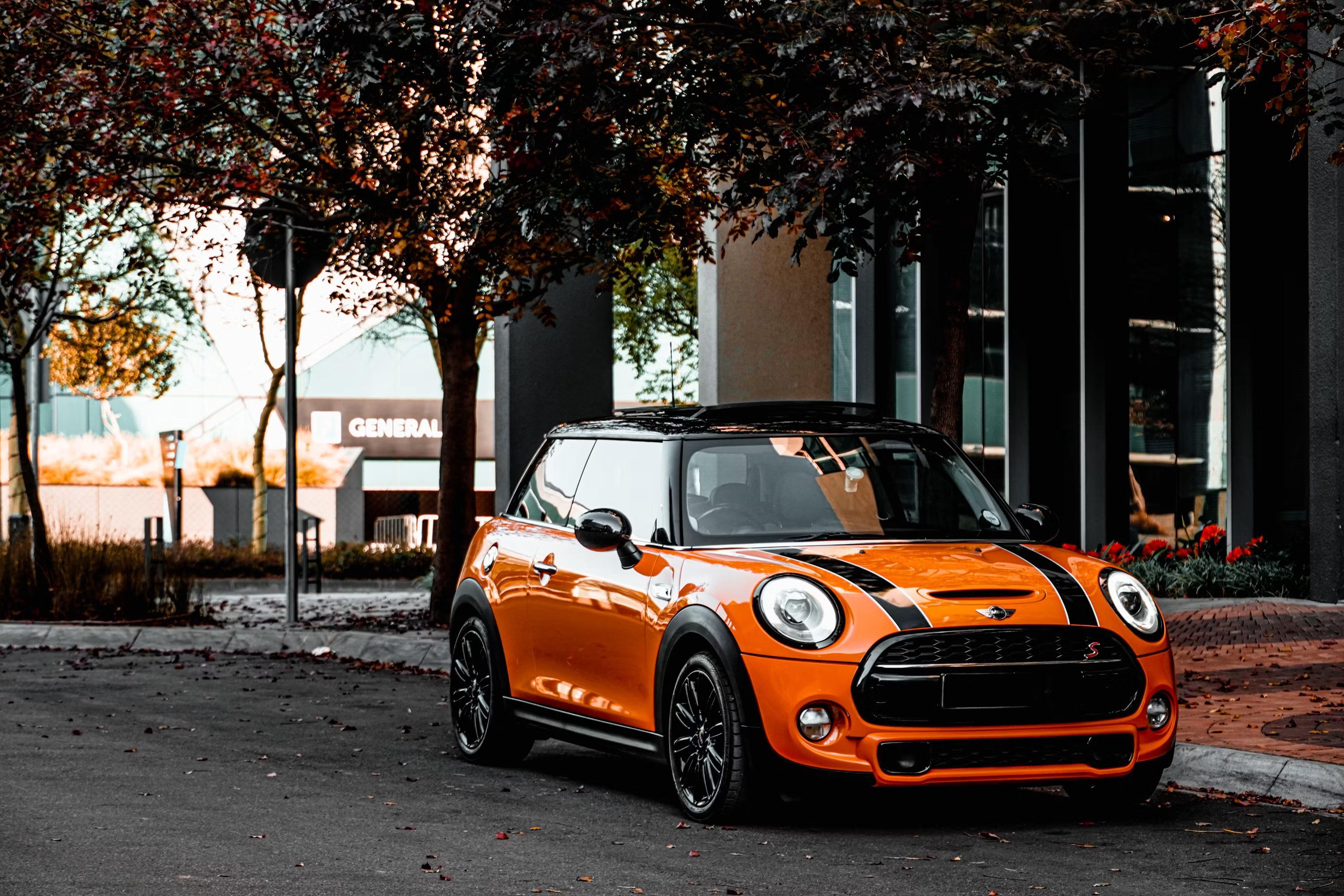Mini — book a service